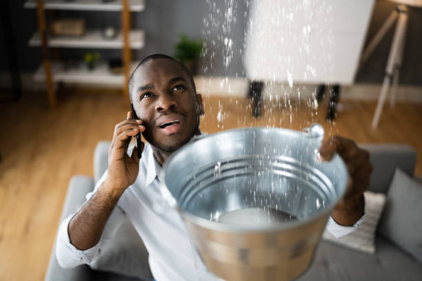 Best Sewage cleanup and water damage restoration  in Glendale, WI