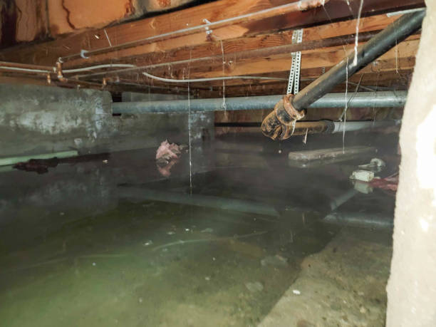 Best Residential water damage restoration  in Glendale, WI