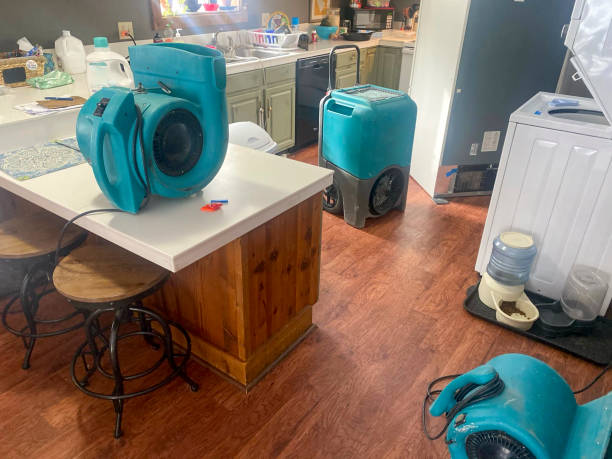 Best Water damage cleanup near me  in Glendale, WI