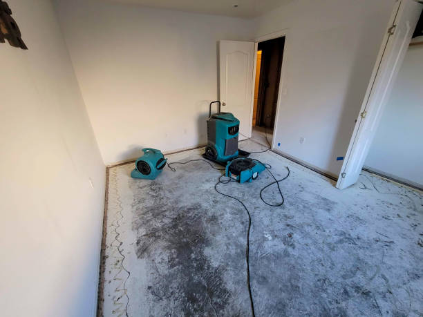 Best Professional water damage repair  in Glendale, WI