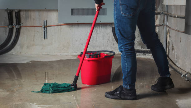 Best Sewage cleanup and water damage restoration  in Glendale, WI