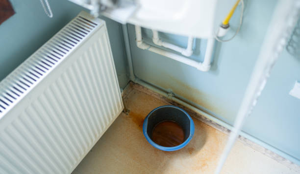 Best Water damage restoration services  in Glendale, WI