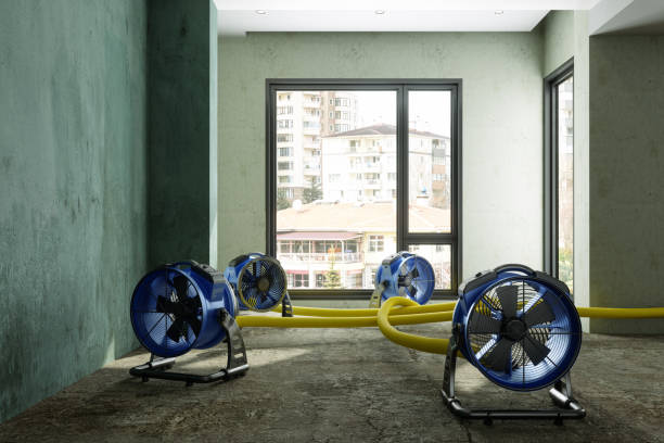 Best Water damage contractors near me  in Glendale, WI